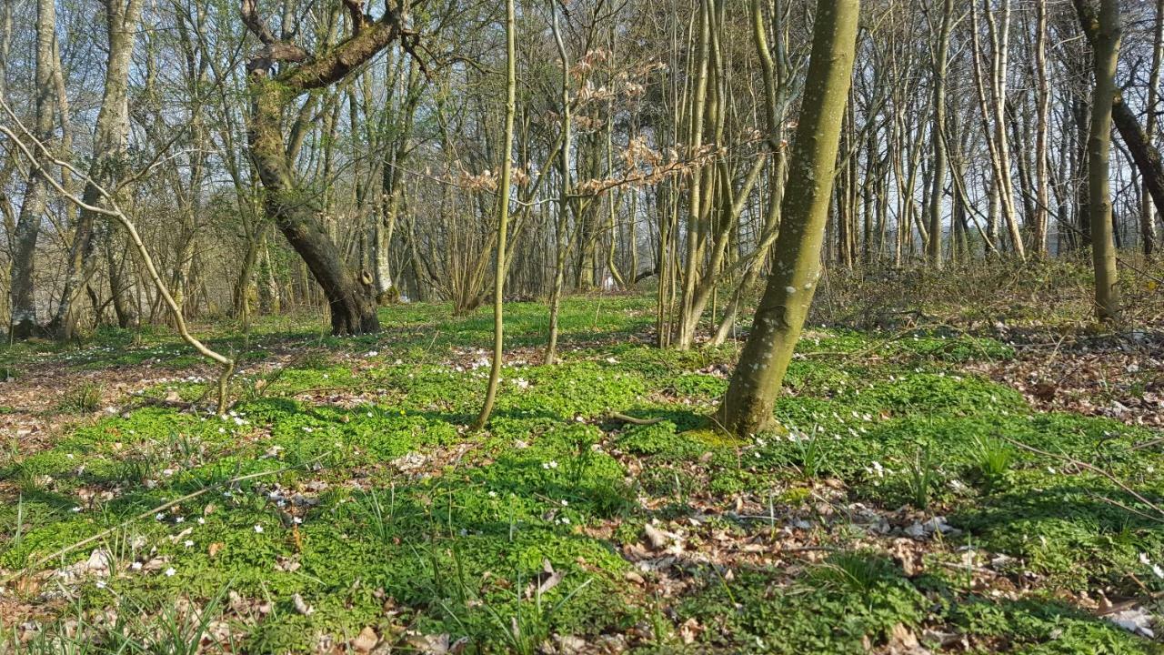 Apartament Fredensholm Annex Skanderborg Zewnętrze zdjęcie